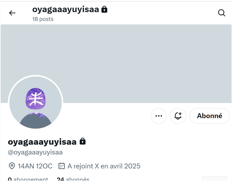 Fichier:NOAY-061025.png