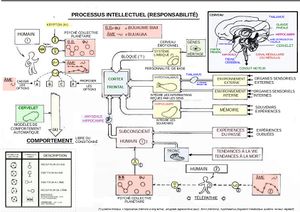 Processus intellectif.jpg