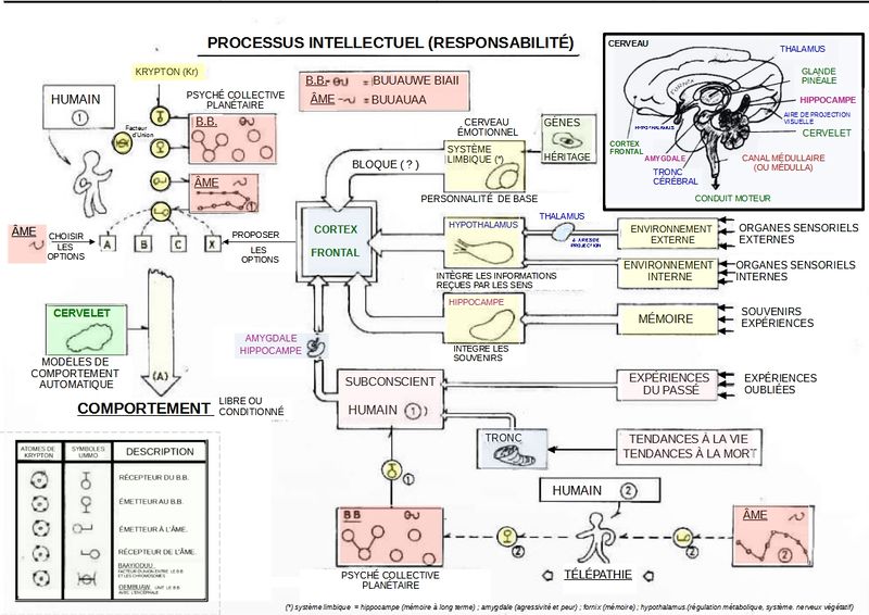 Processus intellectif.jpg