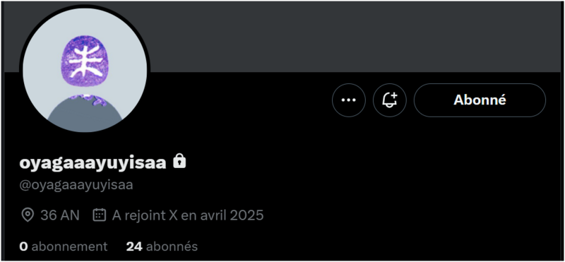 Fichier:NOAY-Profil 250725.png